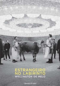 ESTRANGEIRO NO LABIRINTO - ESGOTADO