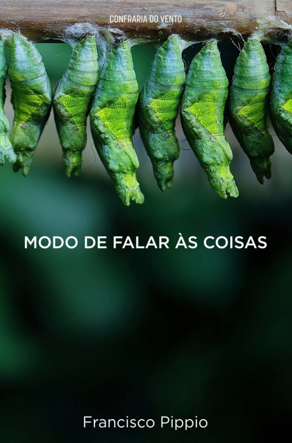 Modo de falar às coisas