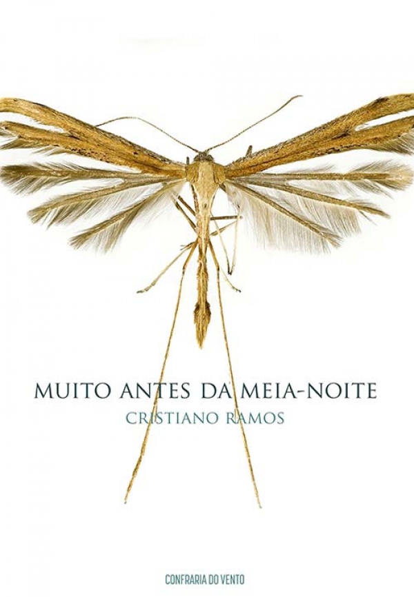 Muito antes da meia-noite